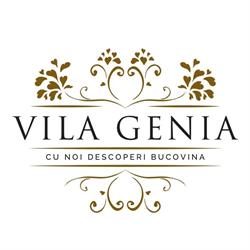 Vila Genia, Câmpulung Moldovenesc program de funcționare