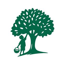 Transilvania Nuts, Drâmbar program de funcționare