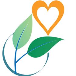 Avilomy srl, Salonta program de funcționare