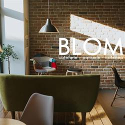 BLOM, Lipova program de funcționare