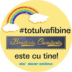 Atelier Broderie Constanta, program de funcționare