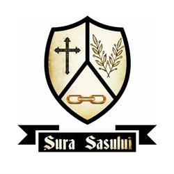 Şura Sasului, Amnaş program de funcționare