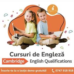 Linguapro center, Braşov program de funcționare