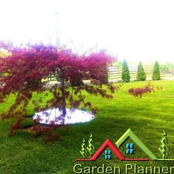 Garden Planner, Floreşti program de funcționare