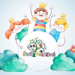 Smart Wonderland, Alba Iulia program de funcționare