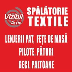Vizibil Activ, Făgăraş program de funcționare