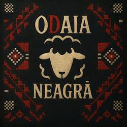 Odaia Neagra, Iaşi program de funcționare
