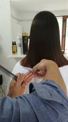 Salon New Style, Sibiu program de funcționare