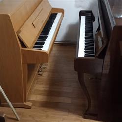 Peter's Piano Shop, Reghin program de funcționare