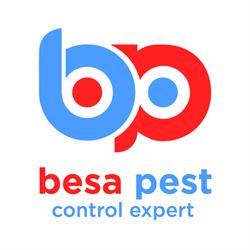 Besa Pest, Gherla program de funcționare