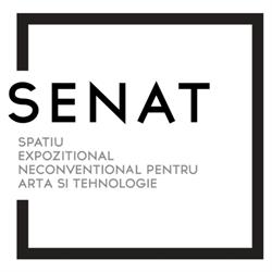 Galeria SENAT, Bucureşti program de funcționare