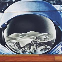 Linea / Closer To The Moon, Victoria program de funcționare