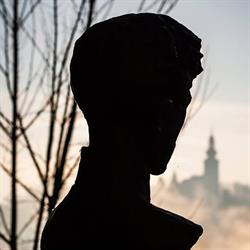 LICEUL TEORETIC "PETŐFI SÁNDOR" (Petőfi Sándor Elméleti Líceum), Săcueni program de funcționare