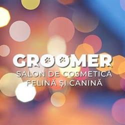 Groomer - Salon de cosmetica felina si canina, Bucureşti program de funcționare