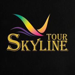 Agentia SkylineTour, Vaslui program de funcționare