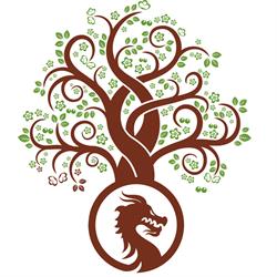 DragonVet SRL, Seini program de funcționare