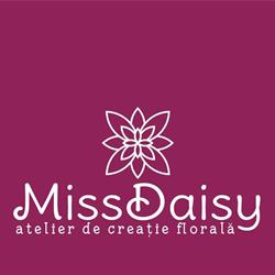 Atelier Miss Daisy, Timişoara program de funcționare