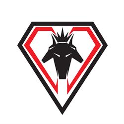 Cerberus World Solution, Deva program de funcționare