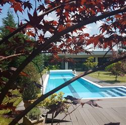 Agua Mas Astral SRL - Constructii piscine - Saune - Jacuzzi - Fantani arteziene - Baia Mare, program de funcționare
