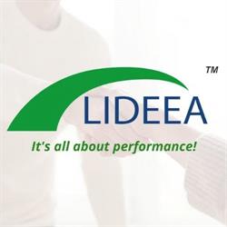 LIDEEA Development Actions, Timişoara program de funcționare