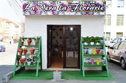 Floraria Vera - Florarie Tulcea, program de funcționare