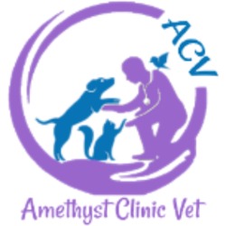 AMETHYST CLINIC VET, Roşu program de funcționare