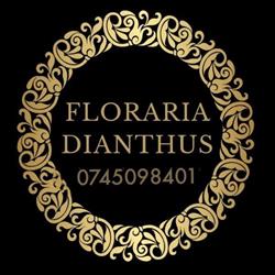 Floraria Dianthus - Florarie online Constanta, Livrare flori Constanta, program de funcționare