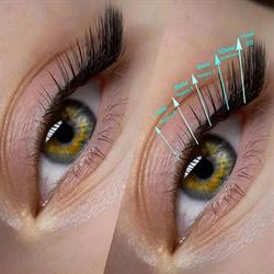 Natasha Eyelashes, Bucureşti program de funcționare