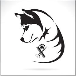 Felis' Pets, Buzău program de funcționare