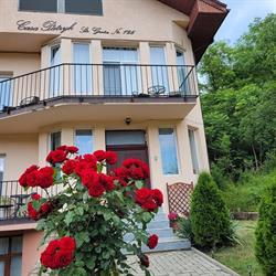 Casa Patryk, Orşova program de funcționare