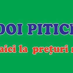 Doi Pitici, Reghin program de funcționare