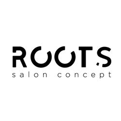 ROOTS Salon Concept, Bucureşti program de funcționare