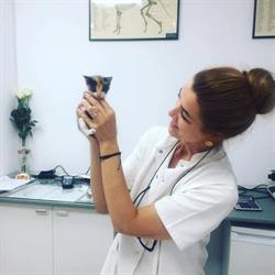 Cabinet Veterinar Medi Vet Constanta, program de funcționare