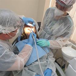 Clinica Stomatologica Braila - Doctor Sasha Dent, program de funcționare
