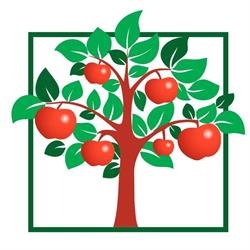 Liceul Teoretic "Dr. Mioara Mincu", Bucureşti program de funcționare