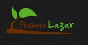 Vatra Lotrilor- punct gastronomic local & cazare, Voineasa program de funcționare