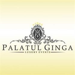 Palatul Ginga, Siliştea Snagovului program de funcționare