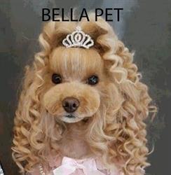 BELLA PET- Frizerie canină şi felină, Piatra-Neamţ program de funcționare