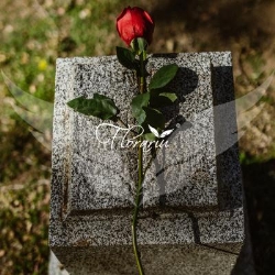 Servicii Funerare Botosani - Casa Funerara Florariu - Pompe Funebre Botosani, program de funcționare