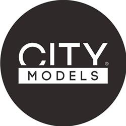 CityModels, Cluj-Napoca program de funcționare