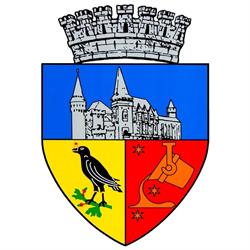 Primaria Municipiului Hunedoara, program de funcționare