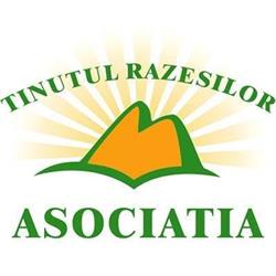 Asociatia Tinutul Razesilor, Ştefan cel Mare program de funcționare
