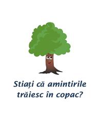 Cabina Foto Bucuresti - Copacul cu Amintiri, program de funcționare