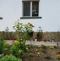 Casa Ionut, Zărneşti program de funcționare