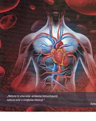 Clinica Emanuel, Beiuş program de funcționare