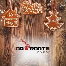 Adorante Invest, Cluj-Napoca program de funcționare