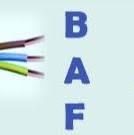 BAF Electric Systems, Chişoda program de funcționare