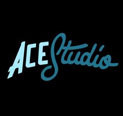 ACE Studio, Bucureşti program de funcționare