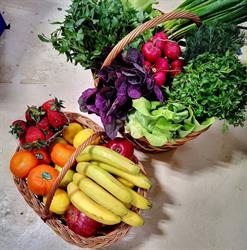 Fruits Bazar Delivery, Bucureşti program de funcționare