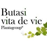 BUTASI VITA DE VIE, Timişoara program de funcționare